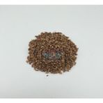 Yelken 100 gr Süpürge Tohumu