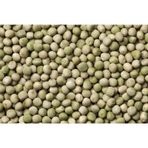 Yem Bezelyesi Tohumu Yemlik Bezelye Tohumu 500 GR