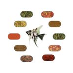 Yemkolik 5 Çeşit 50 gr Melek Balığı Yem Paketi