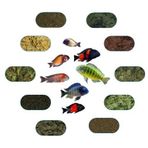 Yemkolik 6 Çeşit 50 gr Tropheus Özel Balık Yem Paketi