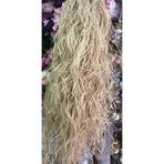 YENİ HEDİYELİK DÜNYAM Doğal Rafya Ip - Muz Lifi - Naturel Ip - Saman Ip 100 Gr