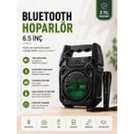 Yeni Nesil 6.5 Inç Bluetooth Hoparlör Mikrofonlu Taşınabilir Ses Sistemi - Lisinya