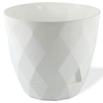 Yeni Özel Beyaz 9 cm Yakamoz Saksı