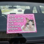 YENİ SÜRÜCÜ YAZISI KEDİ FİGÜRLÜ ARABA CAM AKSESUARI