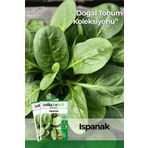 Yerli Ispanak Tohumu Gcl114