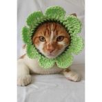 Yeşil Bandana Çiçek Tasma Yazlık Örgü Kedi Köpek Şapkası Evcil Hayvan Şapkası Pet Aksesuarı