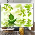 Yeşil Karartma Stor Perde - Mutfak ve Oturma Odası Pencereleri için Yaprak Desenli Kumaş Tonları, Kolay Çekme ve Yukarı, Boyut 90CM x 180CM (3FT) - Şık İç Mekan Pencere Kaplamaları
