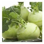 Yeşil Kohlrabi(Alabaş) Tohumu (20 Tohum)