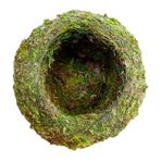 Yeşil Moss Ekici, Moss Ball Saksı saksı, Yaratıcı Çiçek Tutucu, Moss örgü bahçe dekoru, bahçe masası dekorasyonu için yeşil bitki tutucu