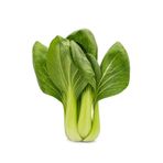YEŞİL PAK CHOI - ÇİN LAHANASI TOHUMU