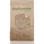 Yeşilçavdar 100 gr Keten Tohumu