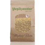 Yeşilçavdar 250 gr Maydonoz Tohumu