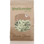 Yeşilçavdar Okaliptus Yaprağı 100 g - 100 gr