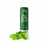Yeşilmarka 5 gr Naneli Dudak Balmı