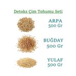 yeşilsera Kedi Çimi Bugday Arpa Yulaf Tohumu 500 gr Toplam 1500gr