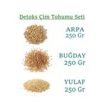 yeşilsera Yeşil Sera Dogal Kedi Çimi Tohumu 250 GrBugday 250grArpa 250GrYulaf Toplam 750Gr