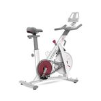 Yesoul S3 Akıllı Spin Bike Kondisyon Bisikleti Beyaz Manyetik Direnç Mekanizması ile 120 kg Taşıma Kapasitesi