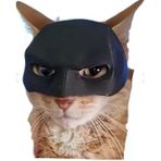 Yetişkin Kediler İçin Maske - Sevimli ve Eğlenceli Kedi Aksesuarı