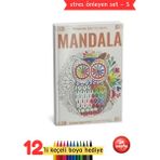 Yetişkinler Için Mandala Orman Hayvanları Seti
