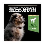 YF Tekstil Ambalaj Pro Plan Puppy Sensitive Digeston Kuzu Etli Yavru Köpek Maması 3 kg - 0,01 gr
