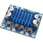 YF Tekstil Ambalaj TPA3110 2X30W Streo Çift Kanal Amfi Devresi XH-A232 - Option-1 - Var