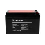 Yiğit Akü 12 V 14 Ah Jel Akü Elektrik Motor / Oyuncak Araba Aküsü-2026
