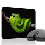 Yılan Oyuncu Gaming Mouse Pad Kauçuk Kaymaz Taban Mousepad (V4, 22x18 Small)
