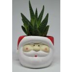 Yılbaşı Noel Baba Saksı Yılbaşına yeni yıla özel Temalı + Canlı Bitki