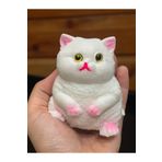YILDIRIM OYUNCAK Kedi Sukuşi - Squishy Kedi- Tüylü Kedi - Stres Oyuncak 8 cm Kedi Tüylü Oyuncak