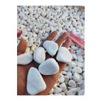 Yıldız Depo Beyaz Dolomit Taş 5 Kg 2-4 Cm Dekoratif Bahçe Taşı Akvaryum Taşı Dolamit Taş