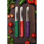 YILDIZ HOME CRAFT SOLİNGEN 3'LÜ MİCRO BIÇAK SETİ
