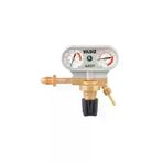 YILDIZ TYCXN58GUN172604958424131 5330S Azot Basınç Düşürücü Saat 0-4 Bar