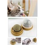Yıldızhane Eğlenceli Doğal Catnipli Yenilebilir Kedi Nanesi Otu Oyun Topu Oyuncağı Cat Mint Top