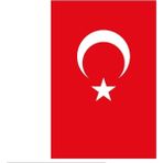 Yıldızsan Bayrak 5 X7.5 metre Raşel Türk Bayrağı - Bayrak Kırmızı - 5x7.5
