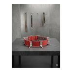 YILPAX DİKENLİ ZIRH TASMA