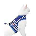 Yizhi Miaow Kedi Koşum Takımı ve Yürüyüş Kaçışı için Tasma, Ayarlanabilir Kedi Yelek Koşum, Yastıklı Şık Kedi Yürüyüş Ceketleri, Denizci Kıyafeti Lacivert, X-Small