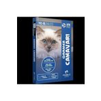 YKS Dil Intro Pack İngilizce Gramer Canavarı Modadil Yayınları