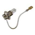 YLZ 48V H3 Ampul 60W