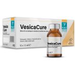Ync Vesicacure Struvit ve Kalsiyum Oksalat Ürolitlerine Karşı Etkili 10X15ML (10 Şişe)