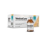 Ync Vesicacure Struvit ve Kalsiyum Oksalat Ürolitlerine Karşı Etkili 2X15ML (2 Şişe) - 2 adet