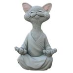 Yoga Yapan Kedi Biblo, Gri
