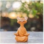 Yoga Yapan Kedi Biblo, Turuncu
