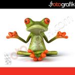 Yoga Yapan Kurbağa Oto Sticker