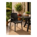 YOGNETIC Premium Rattan Desenli, Dayanıklı, Kollu Bahçe & Balkon Sandalyesi (2 ADET)