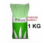 Yonca Tohumu Ak Üçgül Trifolium repens 1 Kg