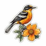 Yoonek Graphics Maryland Baltimore Oriole Bird Kara Gözlü Susan Çiçek Vinil Çıkartma Araba, Dizüstü Bilgisayar, Bardak, Daha Fazlası için. #8751-4 inç