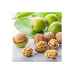 yöresel ince Kabuklu beyaz yeni mahsul ceviz(1 kg)