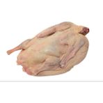 Yöresel Kars Kaz Eti(2,300 kg-2,500 kg) - 2,3 kg