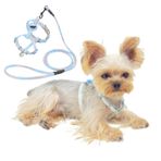 YorkieGogo AirTag tutuculu köpek koşum takımı ve tasma, su geçirmez takip kılıfı, küçük köpekler, çay fincanı ırkları ve kediler için mükemmel (mavi, M)
