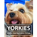 Yorkies Fotobok - Vacker Stor Samling: 100+ Fantastiska Bilder - För Barn Och Vuxna